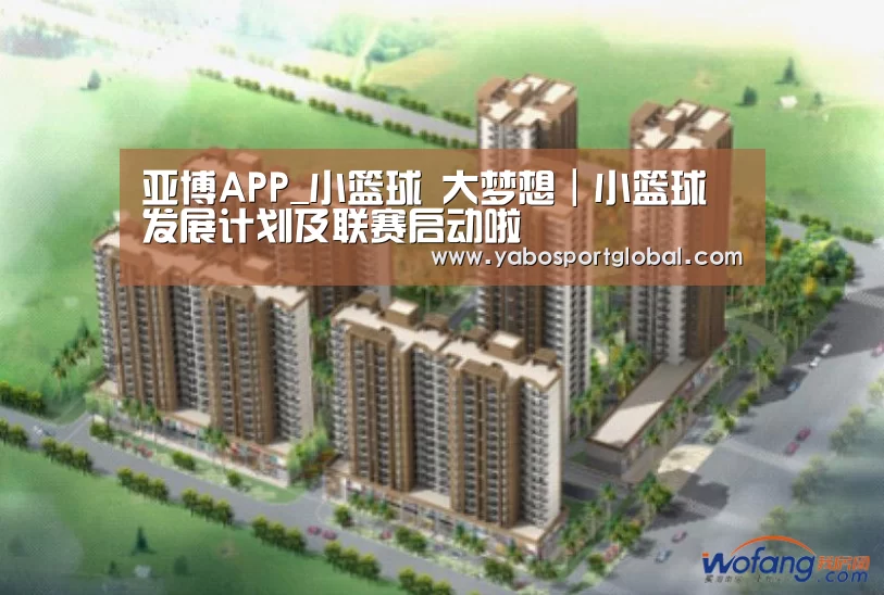 亚博APP_小篮球 大梦想|小篮球发展计划及联赛启动啦(图3) 亚博直播
